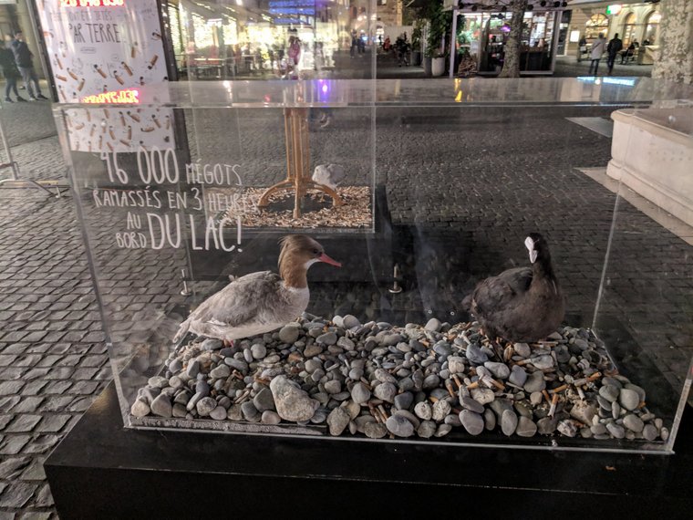 Как власти Женевы борются с окурками